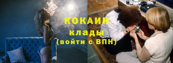 бошки Белокуриха