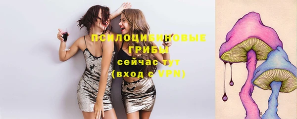 бошки Белокуриха