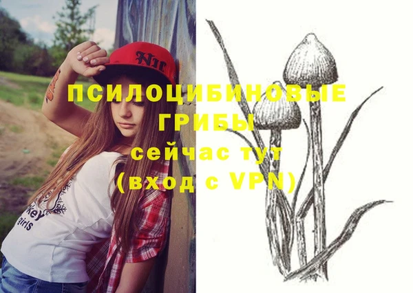 бошки Белокуриха